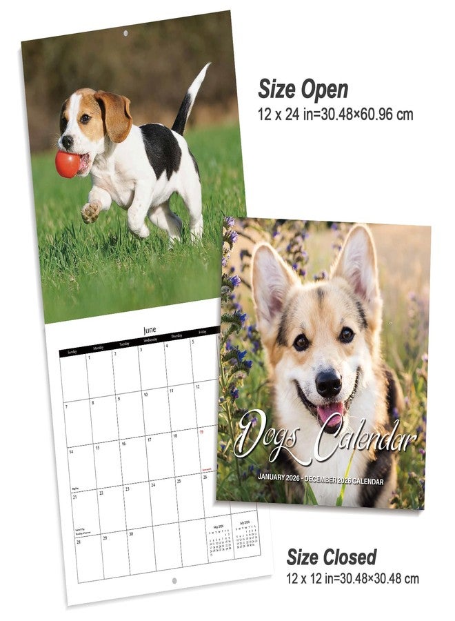 OMEYA 2026 Wall Calendar - Calendar 2026: January 2026 - December 2026, 12" x 24" (Opened), Full Page Monthly View, Thick & Sturdy Paper for Gift, Perfect Calendar Organizing & Planning - Dogs Theme - Image 3