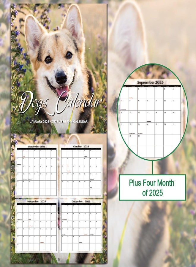 OMEYA 2026 Wall Calendar - Calendar 2026: January 2026 - December 2026, 12" x 24" (Opened), Full Page Monthly View, Thick & Sturdy Paper for Gift, Perfect Calendar Organizing & Planning - Dogs Theme - Image 5