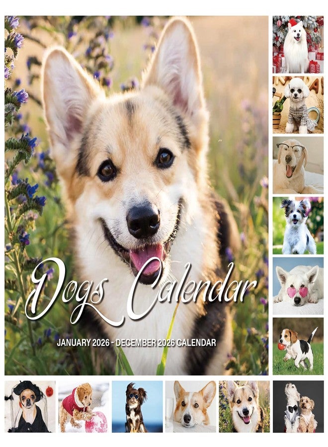 OMEYA 2026 Wall Calendar - Calendar 2026: January 2026 - December 2026, 12" x 24" (Opened), Full Page Monthly View, Thick & Sturdy Paper for Gift, Perfect Calendar Organizing & Planning - Dogs Theme - Image 1