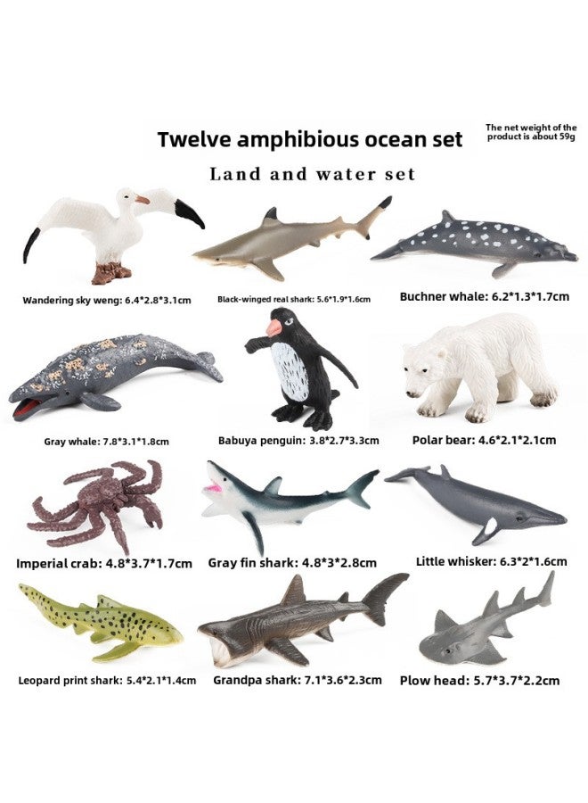 Children's Cognitive Simulation Marine Animal Model Suit Toy Arctic Penguin Emperor Penguin Static Solid Ornaments-Color:KZ Mini Amphibious Marine Series (12 Sets) - Image 1