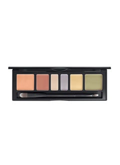 JUNG SAEM MOOL [JUNGSAEMMOOL OFFICIAL] Artist Concealer Palette (Blend) | Makeup Artist Brand | Color Corrector | Blemish Redness Dark Circles Cover Up | Brush Included  - Image 1