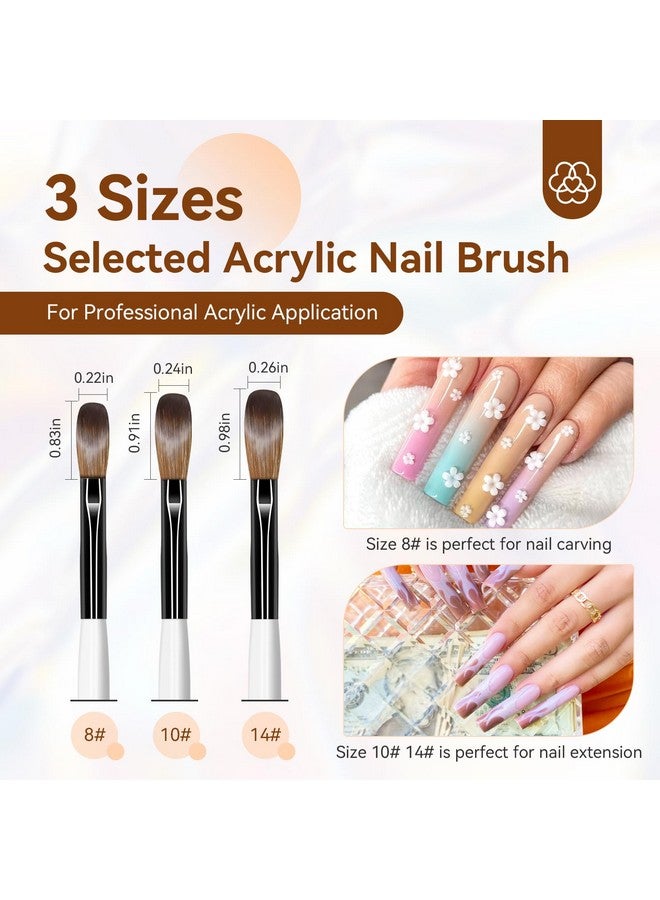 Saviland 3pcs Acrylic Nail Brush Set, Size 8/10/14 Kolinsky Acrylic Nail Brushes for Acrylic Application, Acrylic Powder Nail Art Extension with Black & White Handle for Beginner & Professional - Image 3