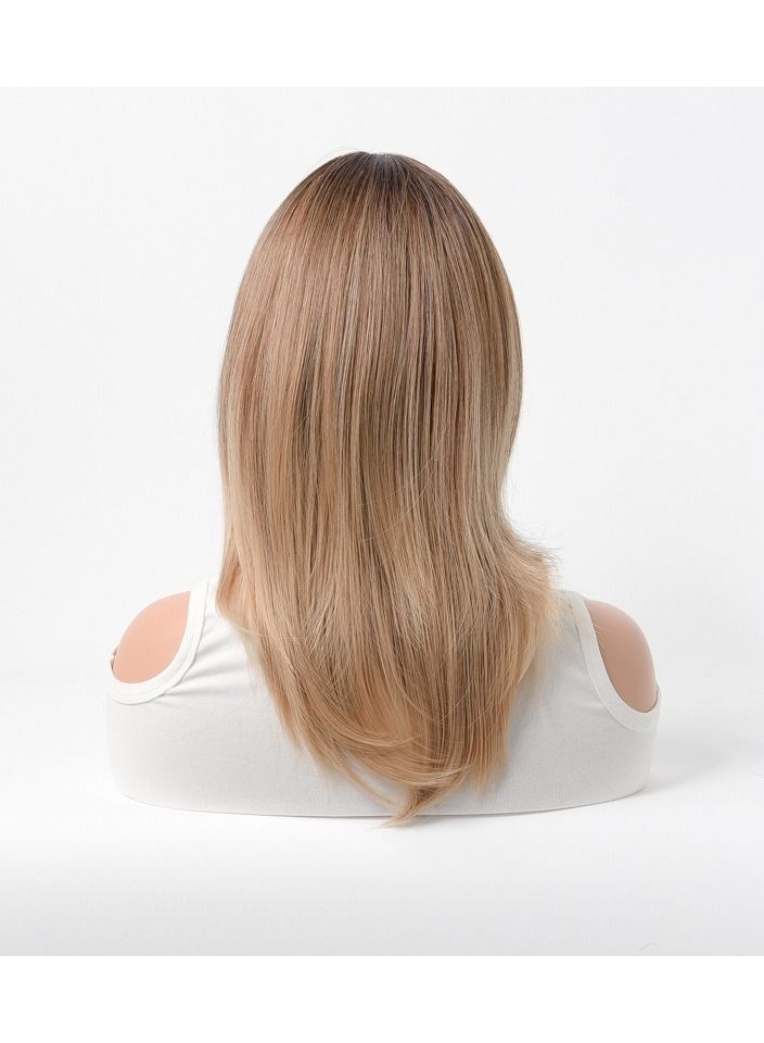 إستيل شعر مستعار كامل للباروكة الاصطناعية مقاومة للحرارة شعر مستعار طبيعي طويل مستقيم مع الانفجارات سيدة الألياف باروكة أنيقة شقراء سوداء - Image 4