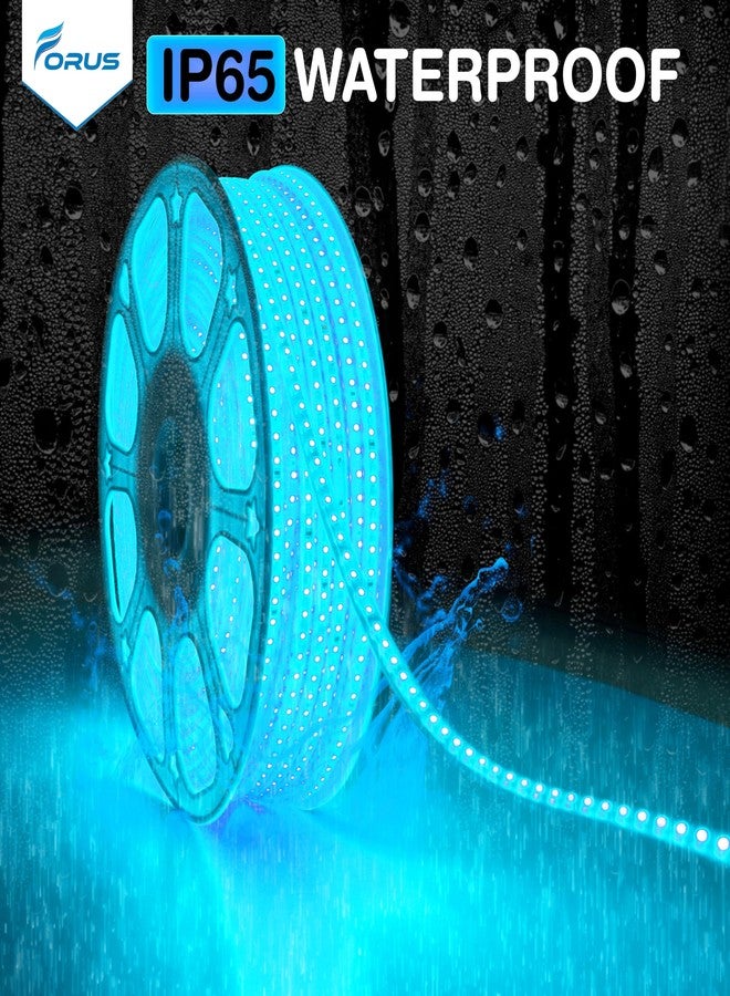 Forus LED Rope Light 5 Meter 6 Month Warranty, Outdoor Waterproof Decorative Cove Lights for Ceiling, Balcony, Home Decor, Interior Decoration, Flexible Profile Light for Diwali, Christmas-Ice Blue - Image 5