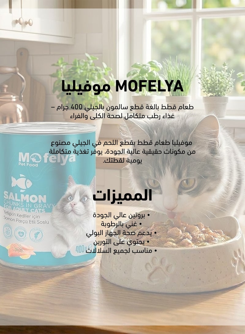 MOFELYA Adult Cat Food, Salmon Jelly Wet Food, 3-Piece Set, 1200g - Protein-Rich Wet Cat Food - Image 3