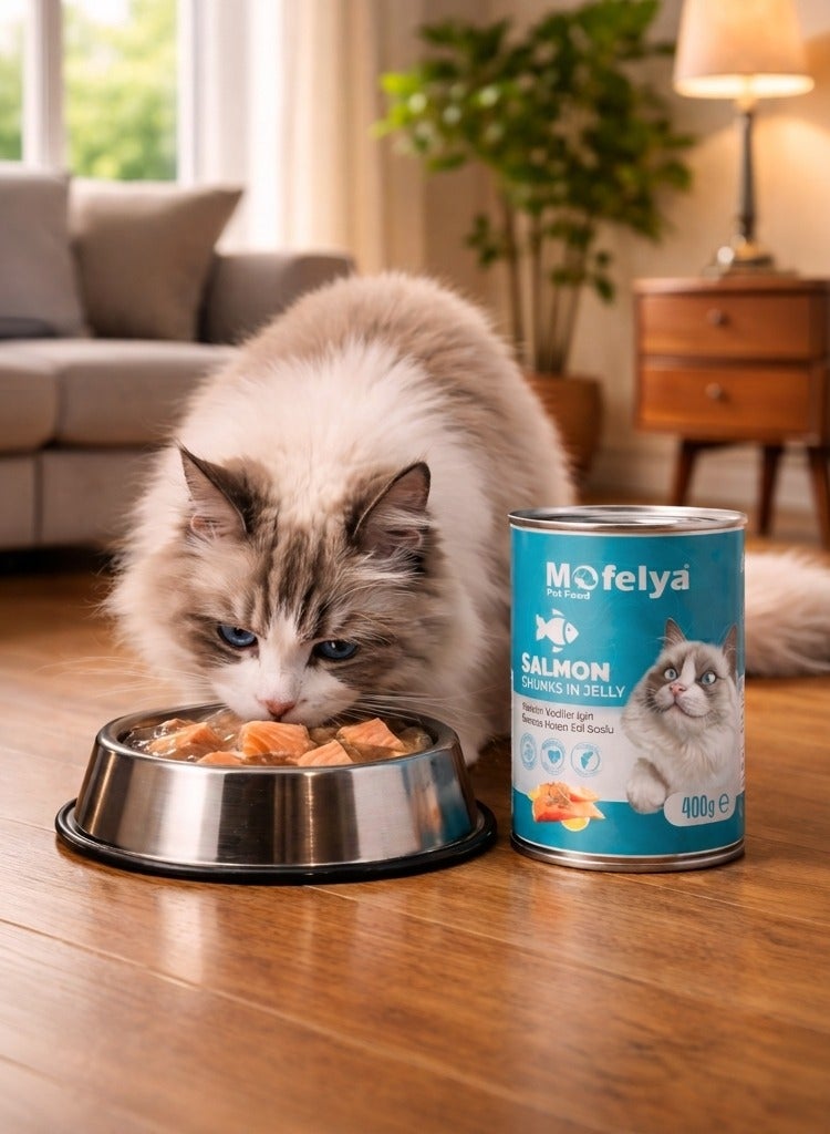MOFELYA Adult Cat Food, Salmon Jelly Wet Food, 3-Piece Set, 1200g - Protein-Rich Wet Cat Food - Image 2