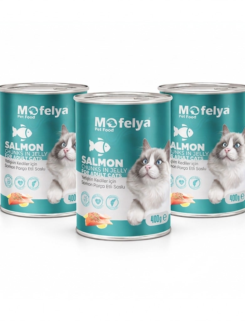 MOFELYA Adult Cat Food, Salmon Jelly Wet Food, 3-Piece Set, 1200g - Protein-Rich Wet Cat Food - Image 1