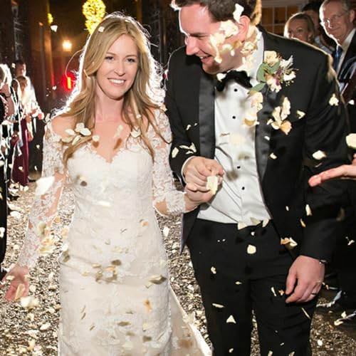 CODE FLORIST 2200 PCS Silk Rose Petals Wedding Flower Decoration (White) - Image 3