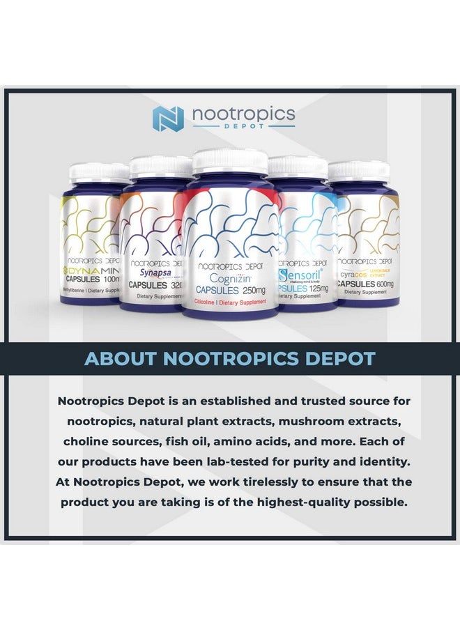 Nootropics Depot - Nootropics Depot 7,8-Dihydroxyflavone Capsules | 25mg | 120 Count | 7,8 DHF | Brain Booster | Supports Cognitive Function and Brain Health - Image 1