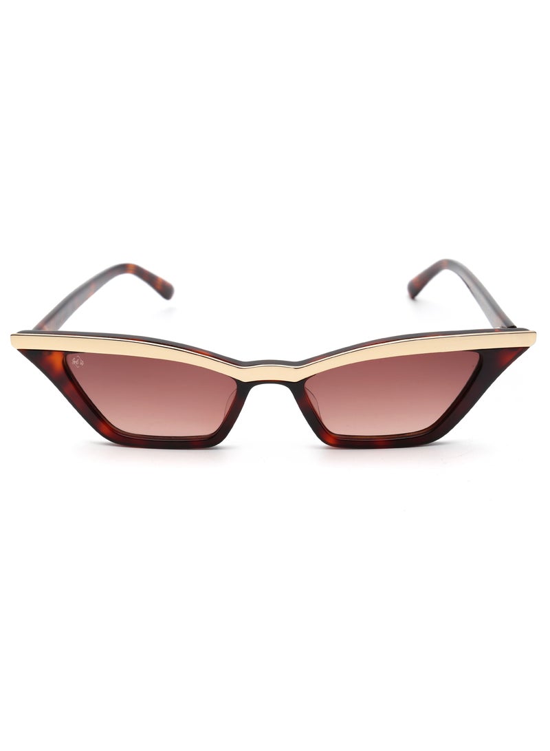 SOL.K Delux-K Sol.K Sunglasses - Gradient Brown CR-39 Lenses with Havana Brown Acetate Frame, Gold Stainless Steel Detail, Retro Style, UV400 Protection - Image 1