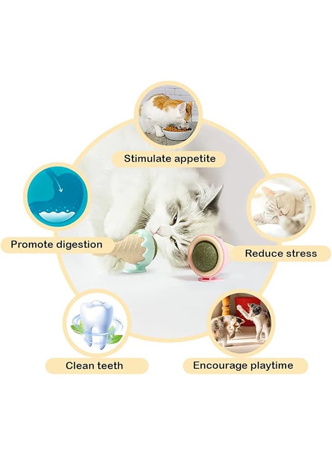 Neostyle Catnip Toys, Avocado Spinning Removable Catnip Balls, Cat Licking Edible Safe and Healthy Kitten Chew Wall Toys, Teeth Cleaning Cat Ball Toys (Ice Cream 2pcs)  - Image 4