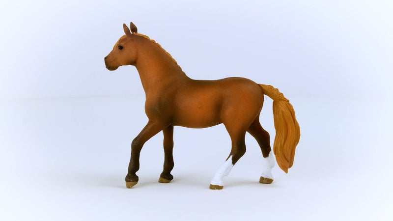 Schleich Horse Club 2023 Authentic Majestic Peruvian Pasos Mare Horse Figurine Realistic Detailed Riding Horse Mare Toy for Boys and Girls Imagination and Play Highly Durable Gift for Kids Ages 5 - Image 4