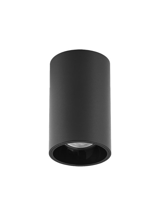 ALFRIDAY Surface Cylinder Ceiling Spotlight, 15W, 3000K, IP65 - Image 1