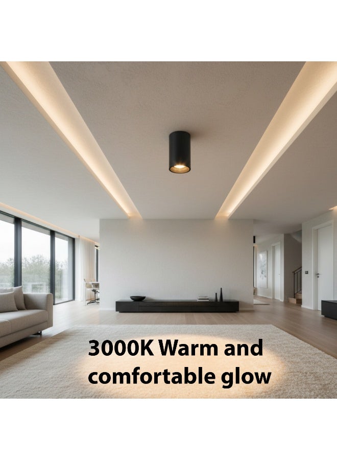 ALFRIDAY Surface Cylinder Ceiling Spotlight, 15W, 3000K, IP65 - Image 2