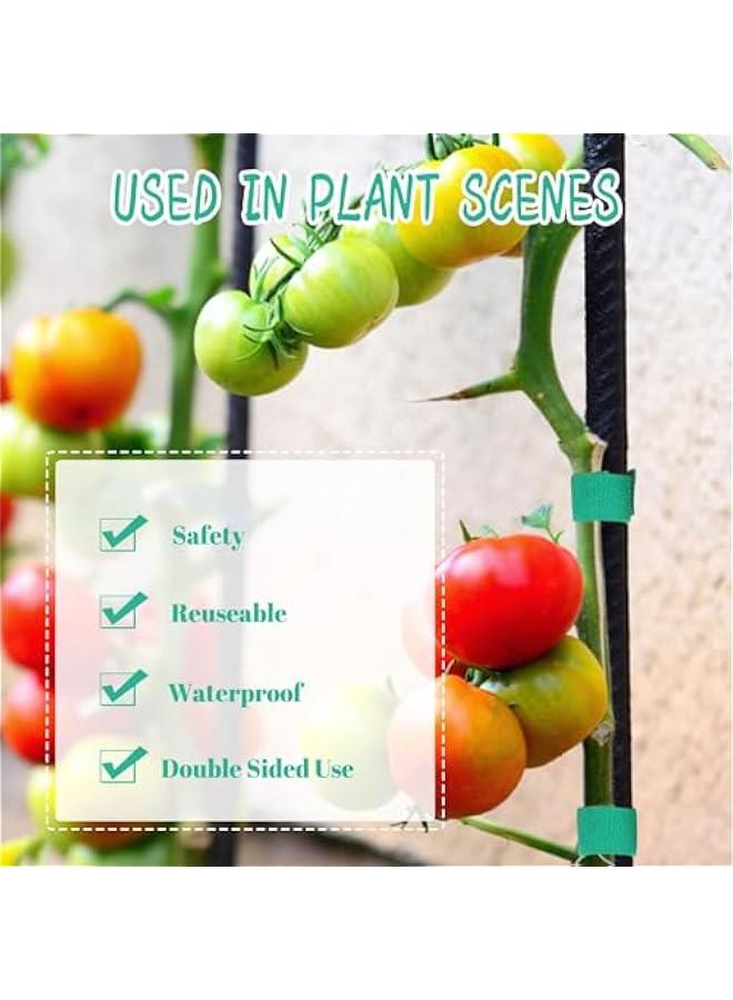 HOOKOR 5 Rolls Garden Tie Green Tape - Twist Ties for Plants 12mmx10m Garden Plant Ties Soft and Tomato Plant Ties - Plant Twist Tie for Plant Gardening, Home, Office - Image 3