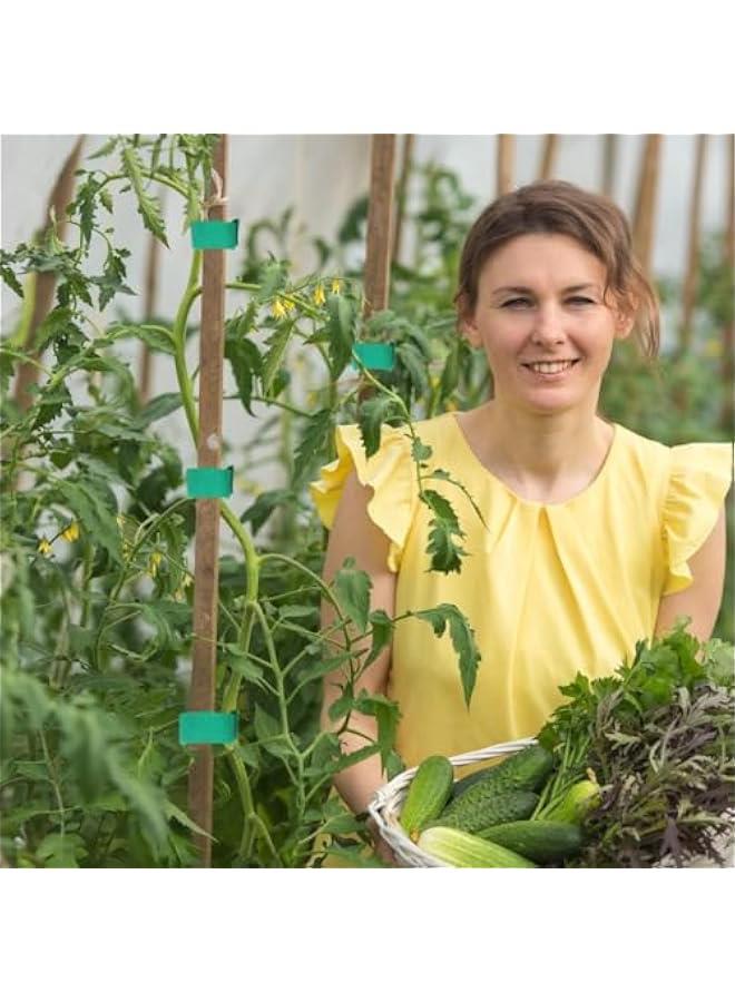 HOOKOR 5 Rolls Garden Tie Green Tape - Twist Ties for Plants 12mmx10m Garden Plant Ties Soft and Tomato Plant Ties - Plant Twist Tie for Plant Gardening, Home, Office - Image 5