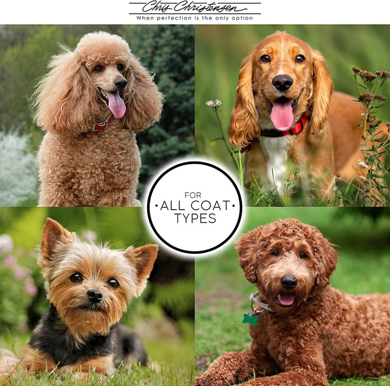 Chris Christensen Day to Day Ultra Concentrated Dog Conditioner, Makes up to 8 Bottles, Groom Like a Professional, Moisturizing, All Coat Types, for Daily Use, Made in USA, 16oz - Image 5