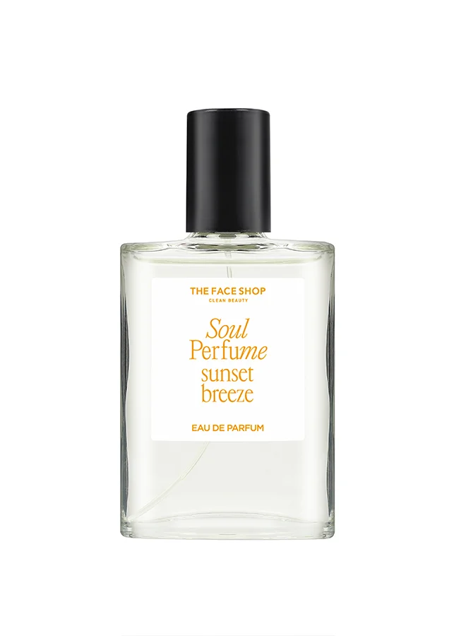 ذا فيس شوب TFS SOUL SUNSET BREEZE 2024