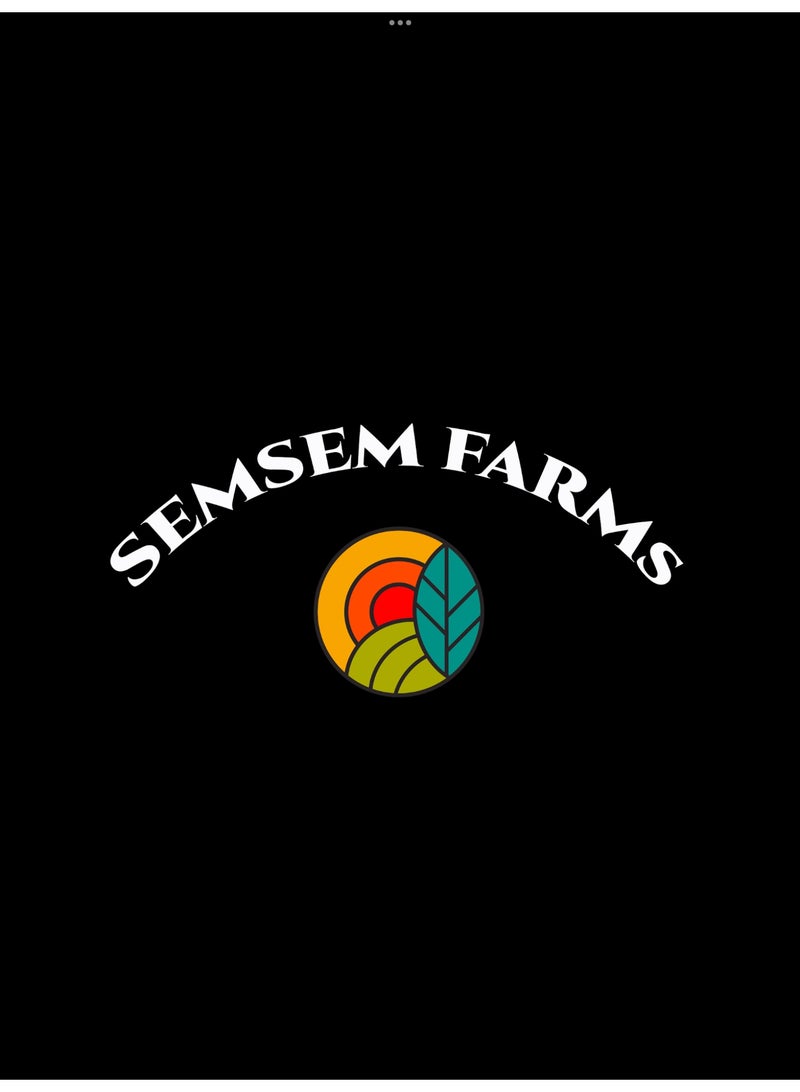 Semsem Farms Dried Banana Slices  - Image 4