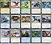 MTG Decks & More Final Fantasy Magic The Gathering Commander Deck Chocobo Bird Bant Blue Green White EDH cEDH 100 Card Custom MTG Deck Very Strong - Image 4