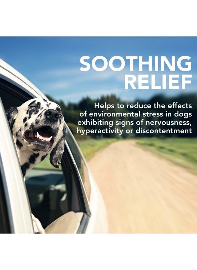 Vet's Best Comfort Calm Calming Soft Chews Dog Supplements | Dog Calming Aid Supports Dog Balances Behavior | Promotes Relaxation | 30 Day Supply  - Image 3