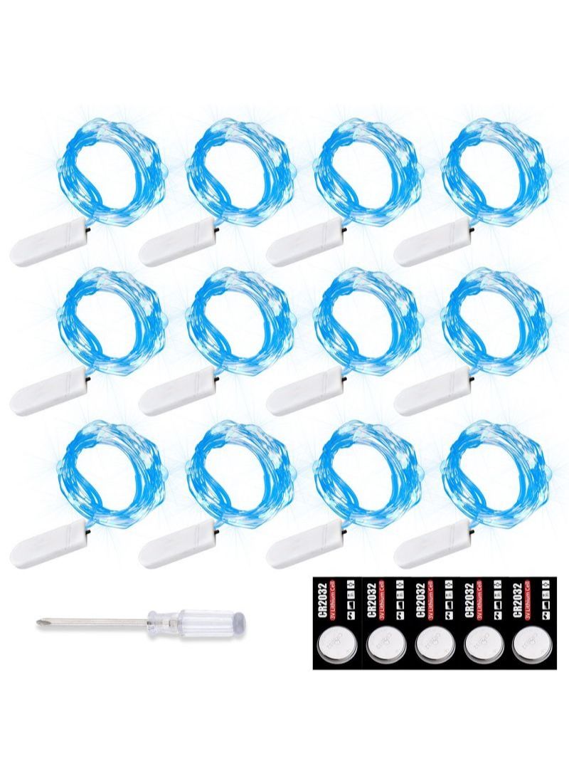 NIBEMINENT 12 LED Battery Powered String Lights - Image 1