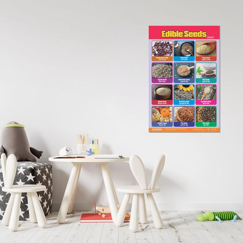 ESCAPER لوحات تعليمية للبذور القابلة للأكل (11.5 × 17.5 بوصة)، ورق 300 جرام، مغلفة، ذات لاصق ذاتي، مواد دراسية للأطفال، مثالية للتعليم المنزلي، طلاب الحضانة - Image 4