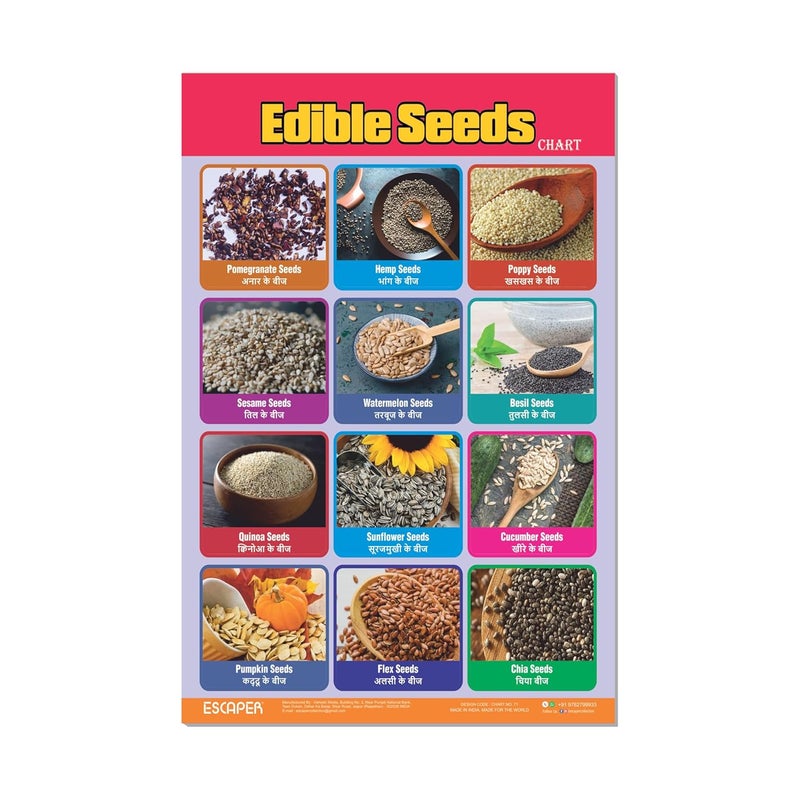 ESCAPER لوحات تعليمية للبذور القابلة للأكل (11.5 × 17.5 بوصة)، ورق 300 جرام، مغلفة، ذات لاصق ذاتي، مواد دراسية للأطفال، مثالية للتعليم المنزلي، طلاب الحضانة - Image 1
