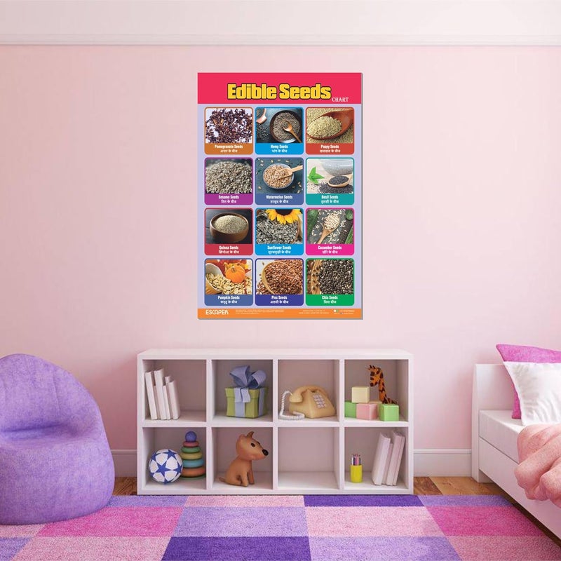 ESCAPER لوحات تعليمية للبذور القابلة للأكل (11.5 × 17.5 بوصة)، ورق 300 جرام، مغلفة، ذات لاصق ذاتي، مواد دراسية للأطفال، مثالية للتعليم المنزلي، طلاب الحضانة - Image 5