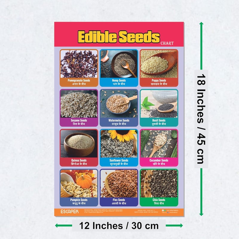 ESCAPER لوحات تعليمية للبذور القابلة للأكل (11.5 × 17.5 بوصة)، ورق 300 جرام، مغلفة، ذات لاصق ذاتي، مواد دراسية للأطفال، مثالية للتعليم المنزلي، طلاب الحضانة - Image 2