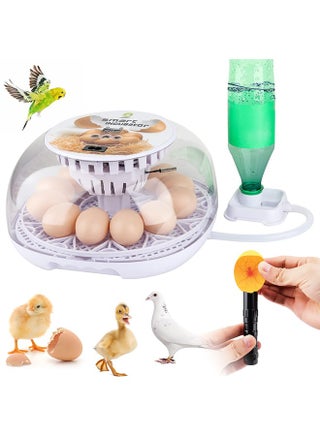 12 Eggs Automatic Incubators