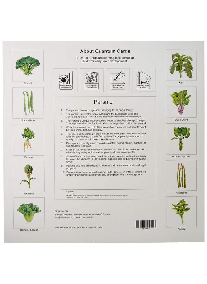 BRAINSMITH Quantum Flash Cards, Vegetables - Educational Flashcard Set 1 For Toddlers And Kids (8 Months To 8 Years) For Visual And Brain Development  - Image 2