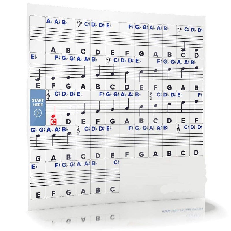 Palap Extra Large Piano Removable Sticker Labels for Large Key Keyboards and Piano! - Image 2