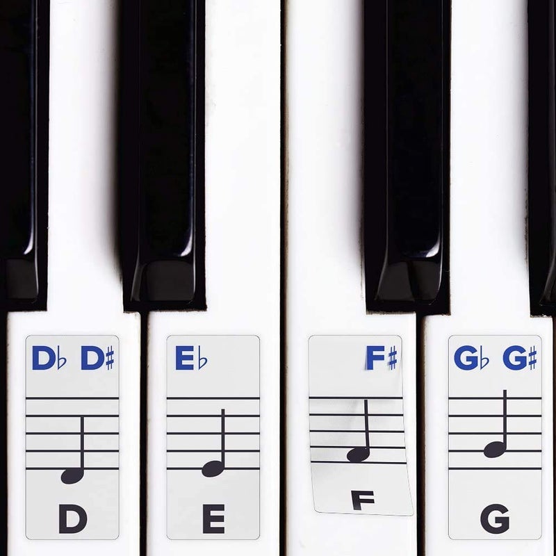 Palap Extra Large Piano Removable Sticker Labels for Large Key Keyboards and Piano! - Image 3
