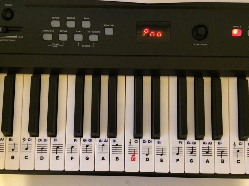 Palap Extra Large Piano Removable Sticker Labels for Large Key Keyboards and Piano! - Image 4