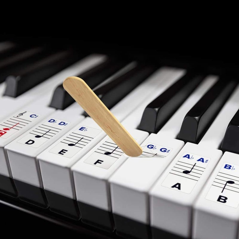 Palap Extra Large Piano Removable Sticker Labels for Large Key Keyboards and Piano! - Image 1