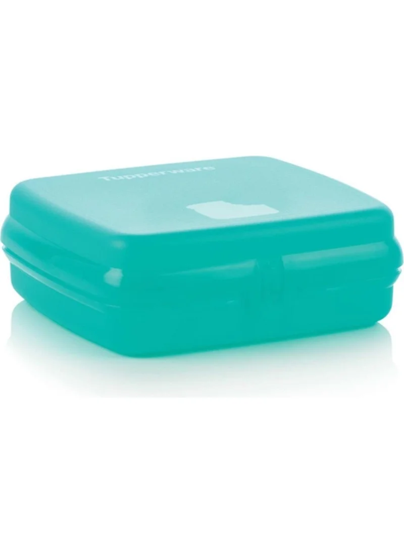 Tupperware Sandwich Carrying Container / Eco + Sandwich Keeper