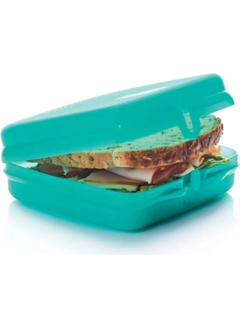 Tupperware Sandwich Carrying Container / Eco + Sandwich Keeper