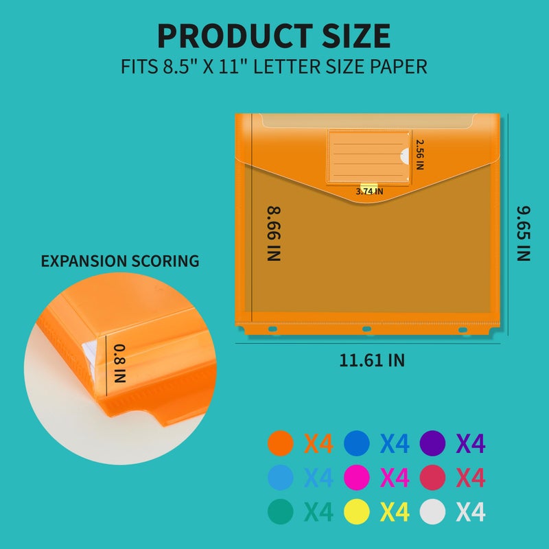 Binditek 36 Pack Binder Pocket Folders with 3 Holes, High Capacity Pocket Folders with Hook and Loop Closure, 9 Assorted Colors, Expandable, Side Loading, Label Pocket, for 3-Ring Binder Organizer - Image 2