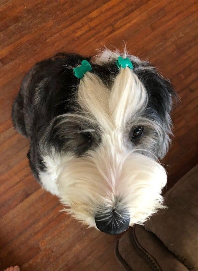 Confidence - GaBBY All DoGGY Bow Bundle - Patented Non-Slip Barrettes - 30 Pack - 2 Barrettes in Each of the 15 Colors & Designs - Image 4