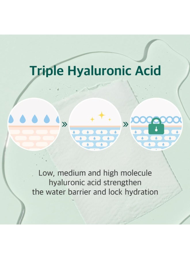 راوند لاب [ROUND LAB] Pine Calming Cica Mask (1ea)+ Birch Juice Moisturizing Cleanser 30ml - Image 5