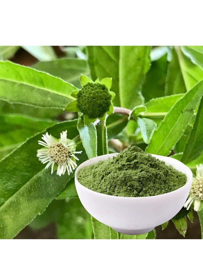 STAMIO Bhringraj Powder 250 Gm For Hair Care, Pack, Mask, Diy | Pure Natural Eclipta Alba | Sun Dried False Daisy | Karisalankanni | Gunta Galagaraku | In Pouch 8.82 Oz - Image 2