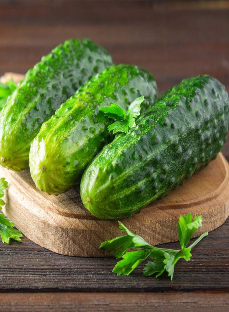 GGOOT 200 Vegetables Seeds Healthy Green Cucumbers for Garden Planting Annual Vine Vegetables Easy to Take Care of Beginner's Choice - Image 3