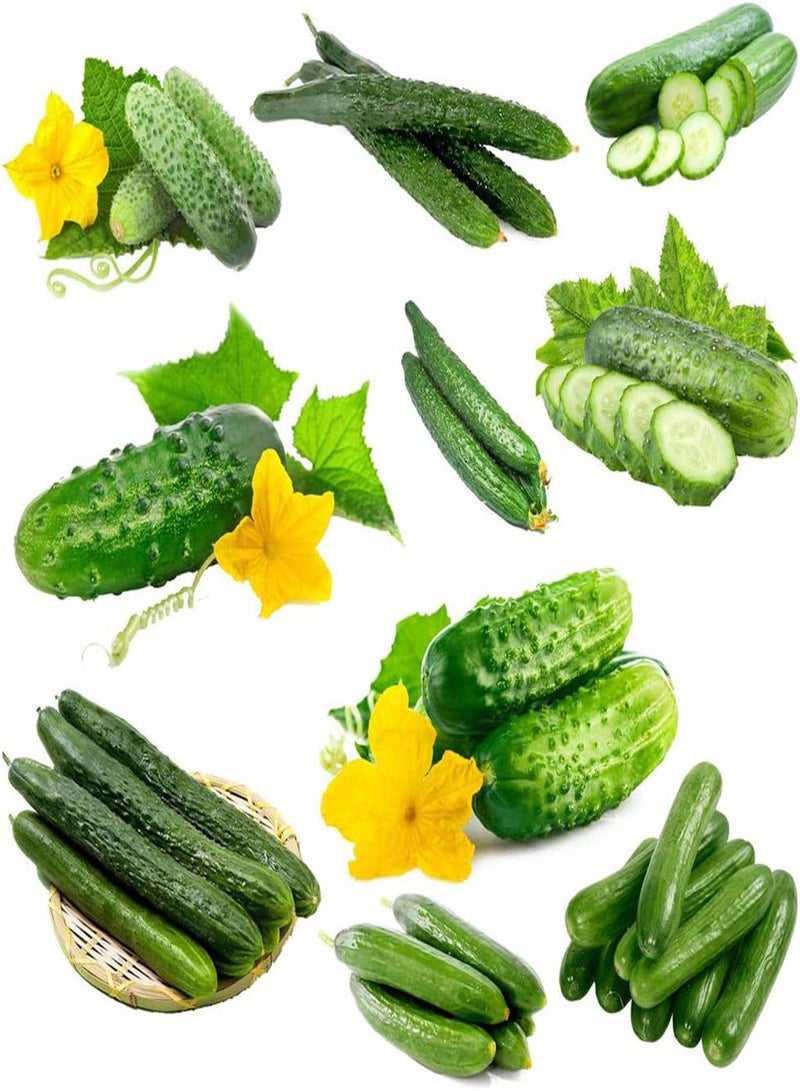 GGOOT 200 Vegetables Seeds Healthy Green Cucumbers for Garden Planting Annual Vine Vegetables Easy to Take Care of Beginner's Choice - Image 1