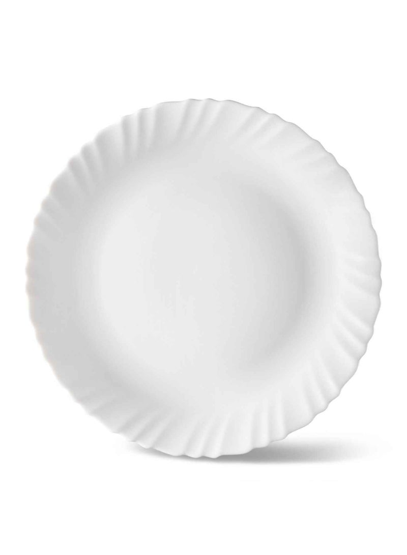 Dinner Plate Food Stains Or Odors