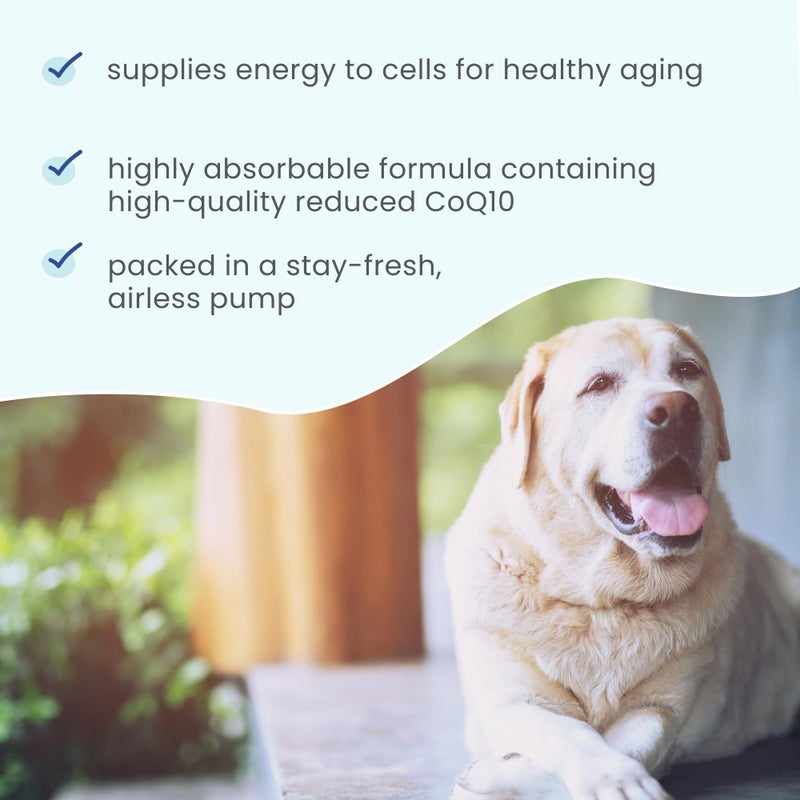 Dr. Mercola Bark & Whiskers Ubiquinol Liquid Pump for Dogs & Cats, 1.45 Fl. Oz. (43 mL), Supports Healthy Immune Function, Veterinarian Formulated, Non-GMO, Dr. Mercola - Image 4