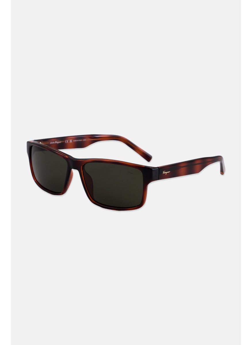 Salvatore Ferragamo - Women SF960S Rectangular Sunglasses, Brown - Image 1