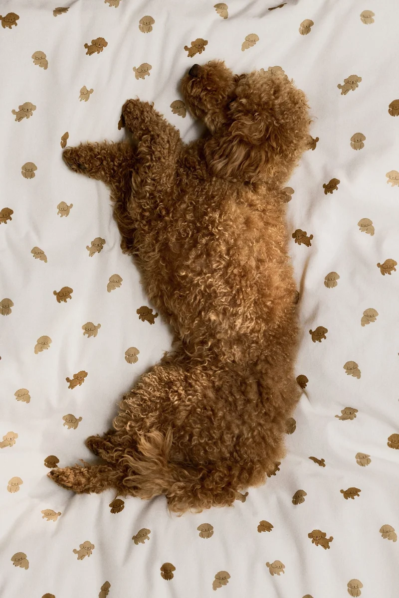 اتش اند ام طقم غطاء لحاف لسرير الأطفال مزين بنقشة