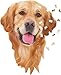 Madd CAPP I Am Golden 550 Piece Puzzle Dog Shaped Animal Jigsaw 24 x 32 Assembled Size Poster Reference Educational Fun Fact Booklet - Image 4