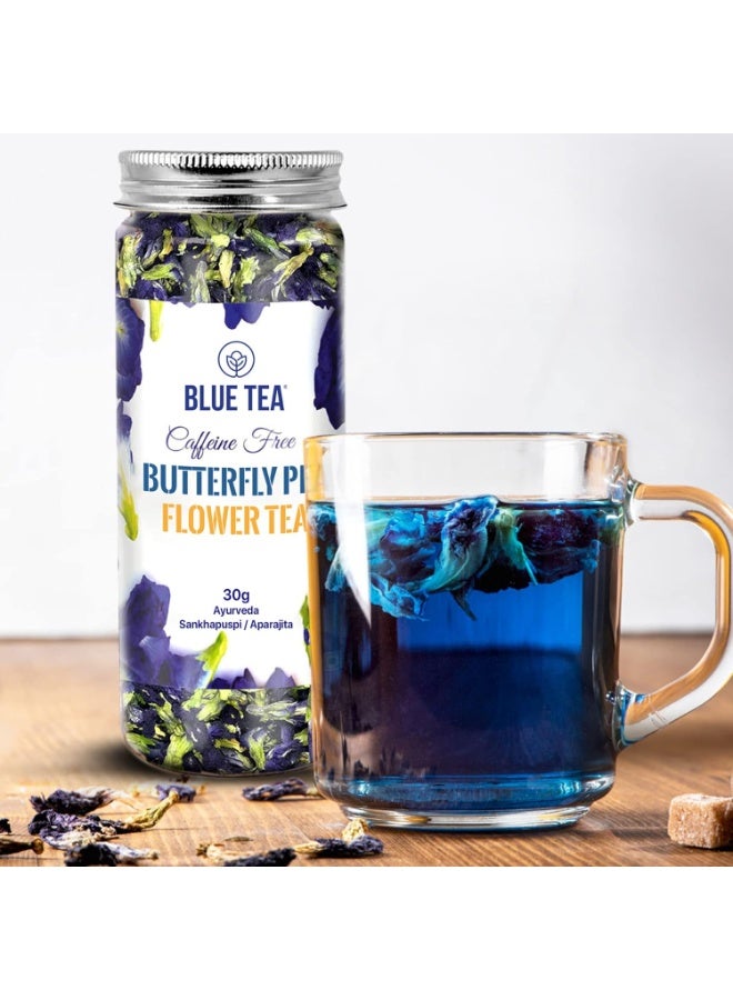 الشاي الأزرق شاي زهرة البازلاء الفراشة 30 جرام | 60+ كوب | شاي أعشاب خالي من الكافيين | مضادات الأكسدة الفائقة | ابراجيتا شانخبوشبي | غير معدل وراثيًا | ظهرت على خزان القرش | جرة PET قابلة لإعادة الاستخدام - Image 4